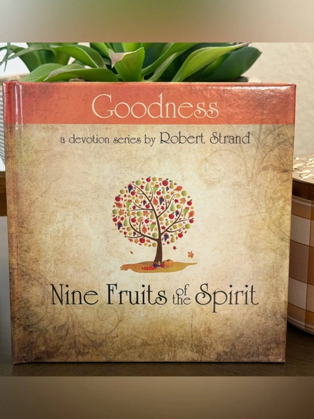 Set of 9 New Fruits Of The Spirit Books